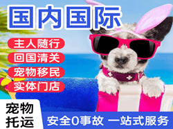 三沙机场空运国际宠物托运 【国